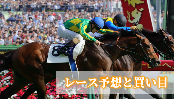 第17回 福島牝馬ステークス（GⅢ）【予想・データ・買い目】