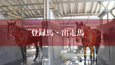 第51回 高松宮記念(GⅠ)【出走馬】